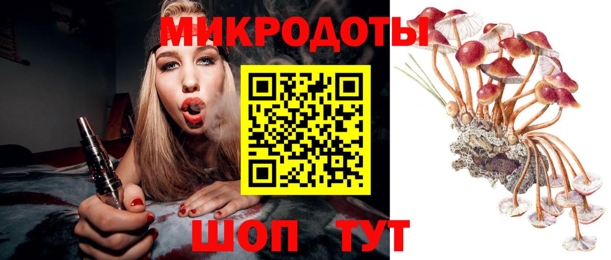 Чебоксары  Галлюциногенные грибы GOLDEN TEACHER  Вход с VPN  Псилоцибиновые грибы GOLDEN TEACHER 